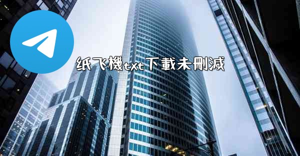 纸飞機txt下載未刪減