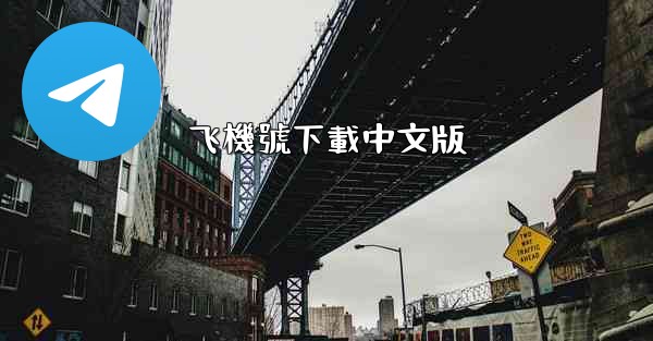 飞機號下載中文版