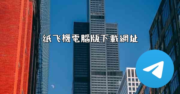 纸飞機電腦版下載網址