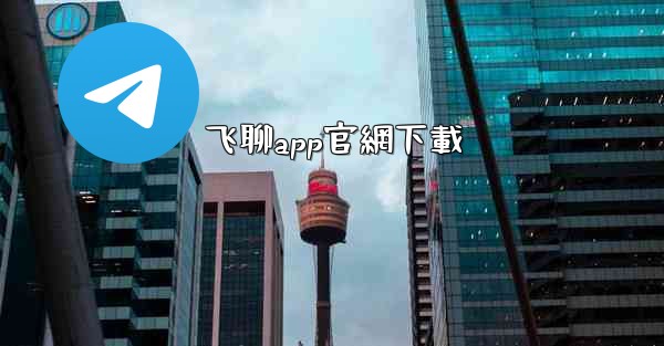 飞聊app官網下載